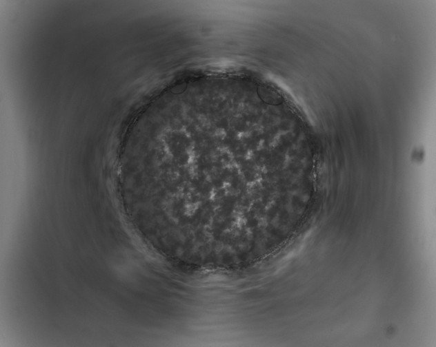 X0000102460913200808221615