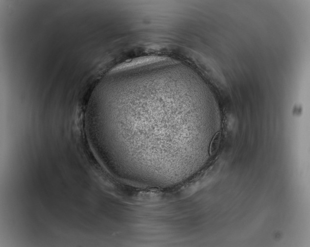 X0000102460914200808221615