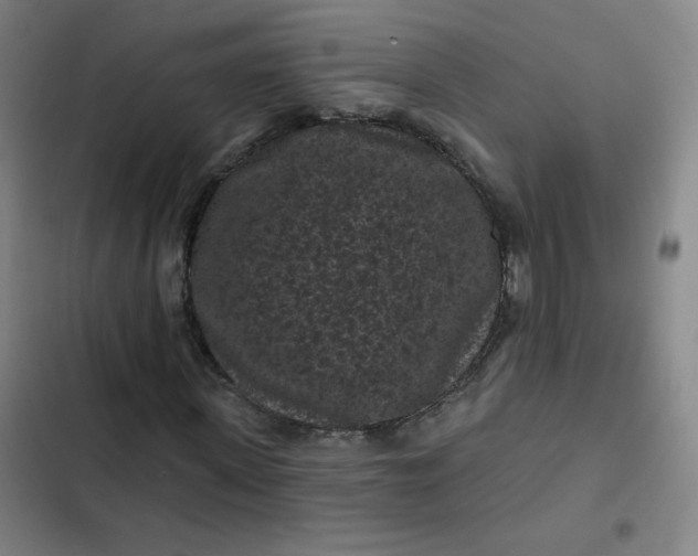 X0000102460915200808221615