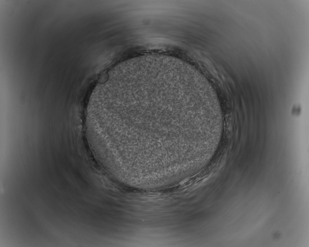 X0000102460916200808221615