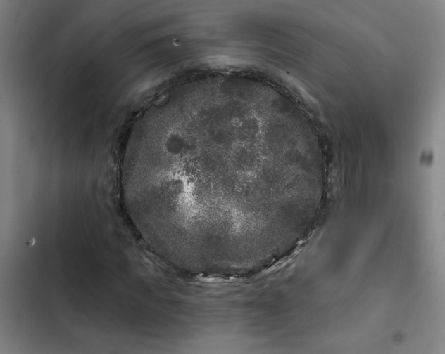 X0000102460917200808221615