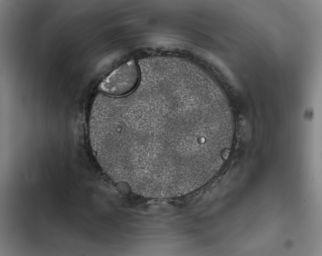 X0000102460918200808221615