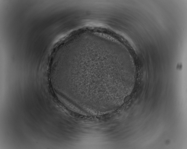 X0000102460919200808221615