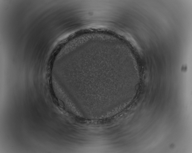 X0000102460920200808221615