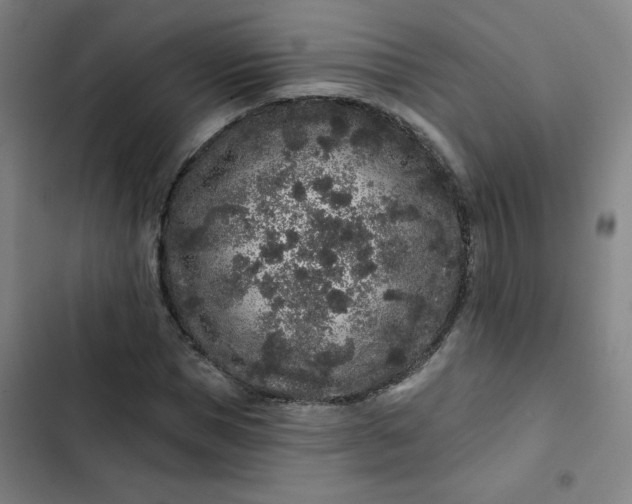 X0000102460921200808221615