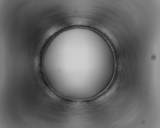 X0000102460922200808221615