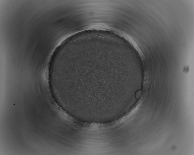 X0000102460923200808221615