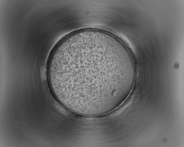 X0000102460924200808221615