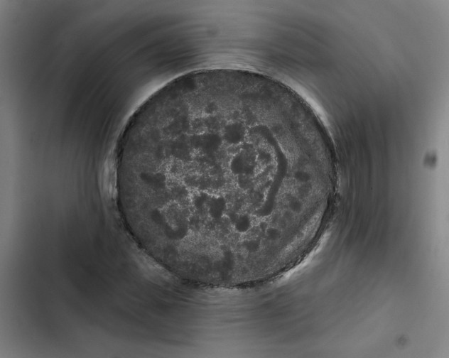 X0000102460925200808221615