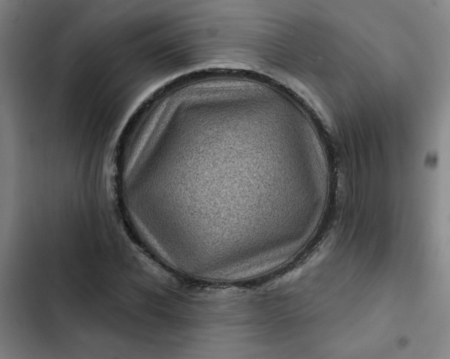 X0000102460926200808221615