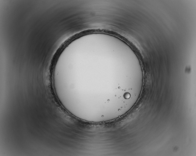 X0000102460927200808221615