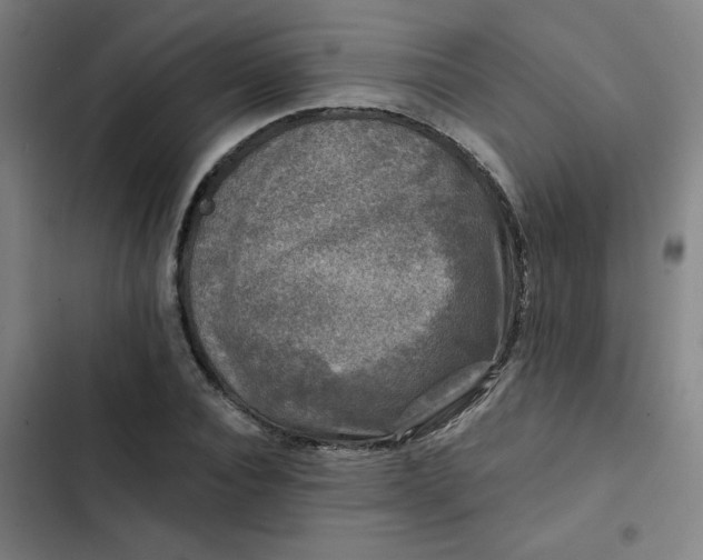 X0000102460928200808221615