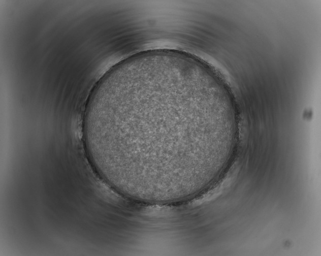 X0000102460929200808221616