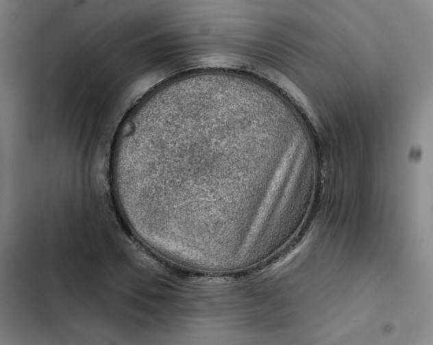 X0000102460930200808221616