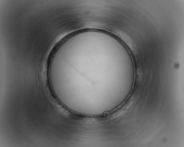 X0000102460931200808221616