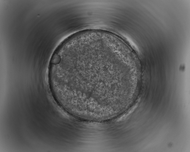 X0000102460932200808221616