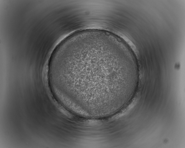 X0000102460933200808221616