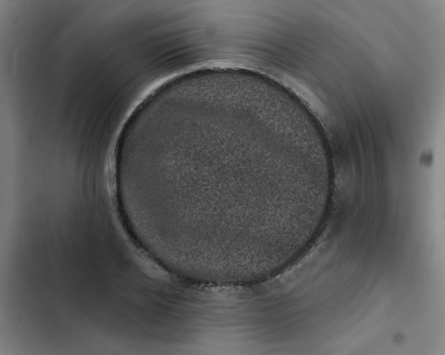 X0000102460934200808221616