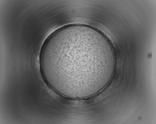 X0000102460936200808221616