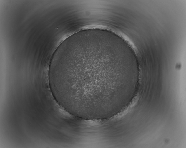 X0000102460937200808221616