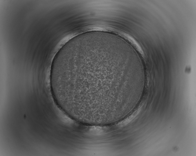 X0000102460938200808221616