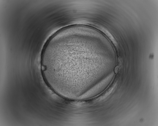 X0000102460939200808221616