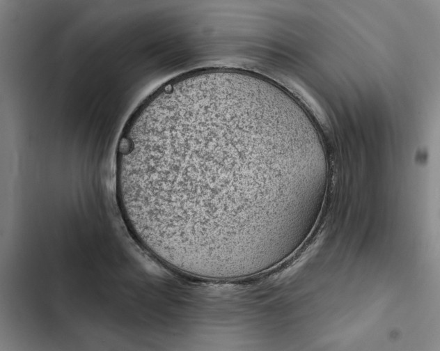 X0000102460940200808221616