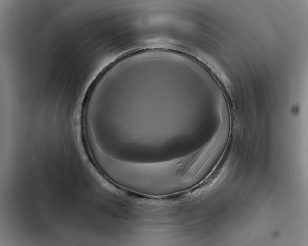 X0000102460941200808221616