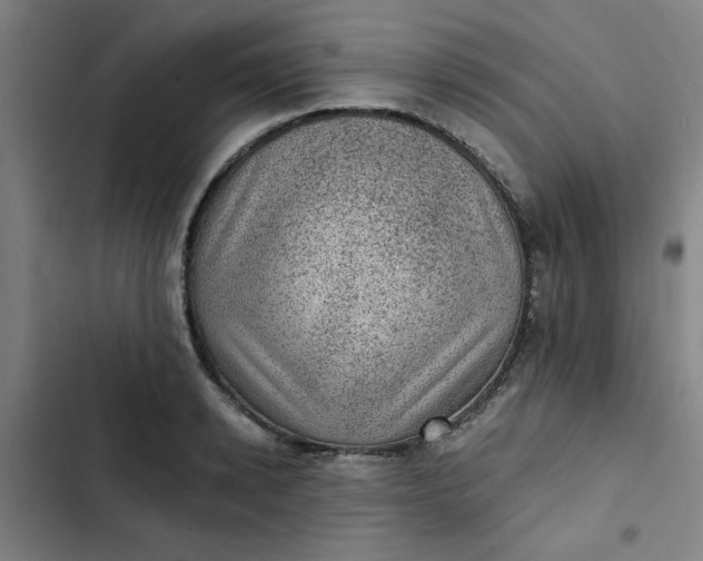 X0000102460942200808221616