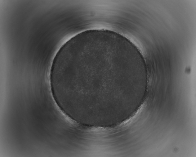 X0000102460943200808221616