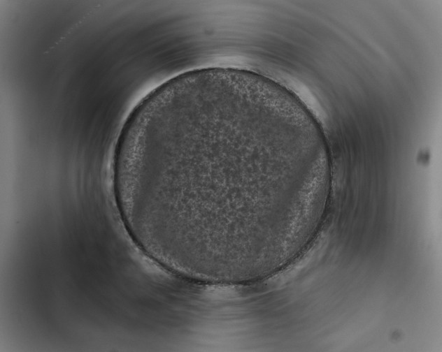 X0000102460944200808221616