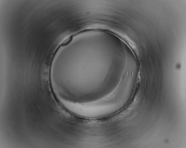 X0000102460945200808221616