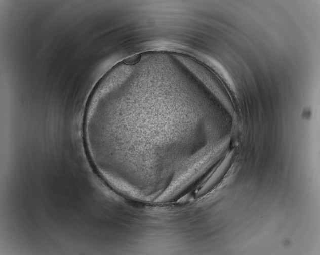 X0000102460946200808221616