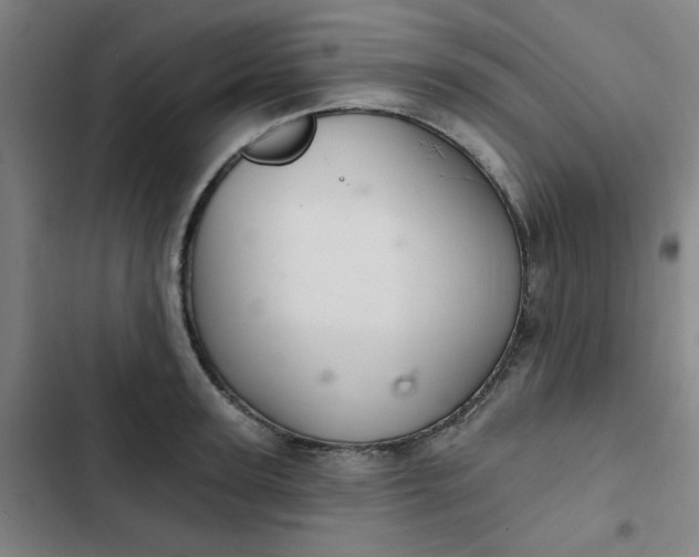 X0000102460947200808221616