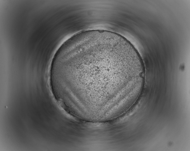 X0000102460949200808221616