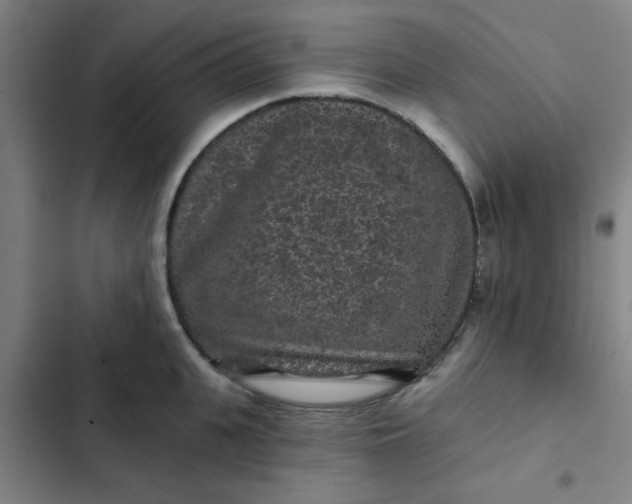 X0000102460951200808221616