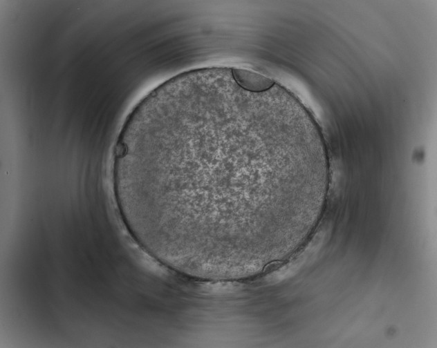 X0000102460952200808221616