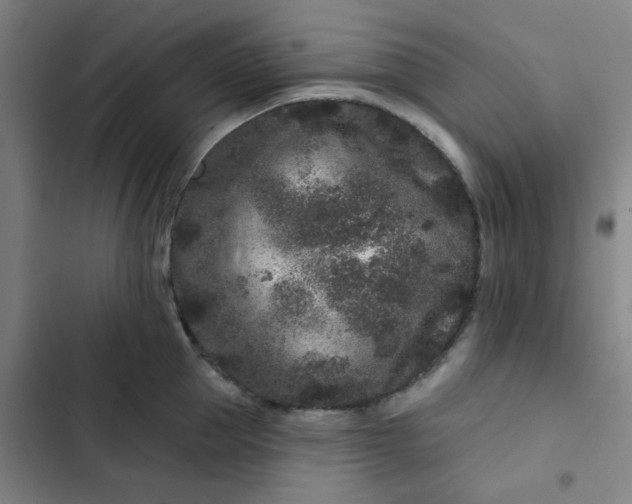 X0000102460953200808221616