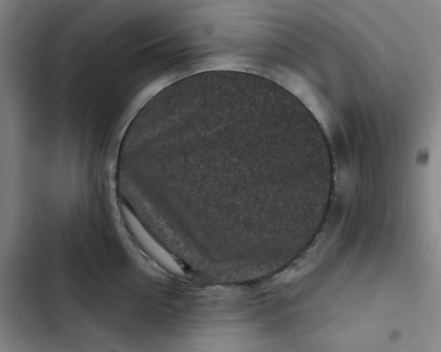 X0000102460954200808221616