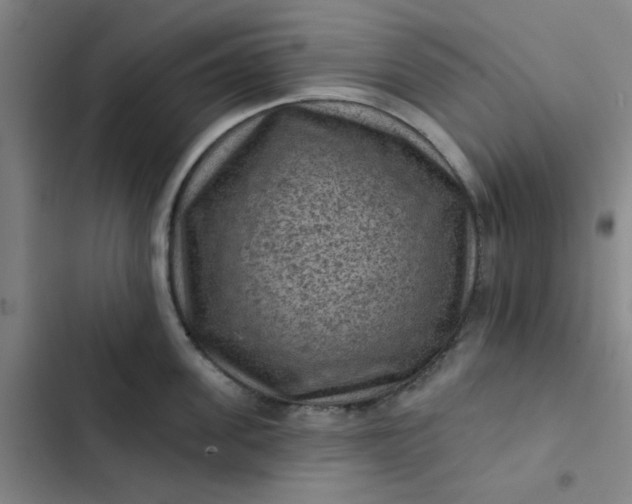 X0000102460955200808221616