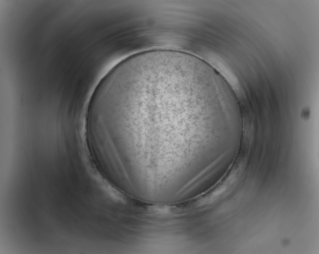 X0000102460956200808221616