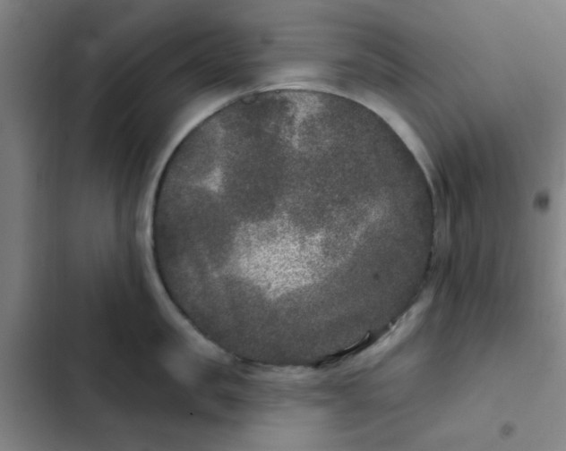 X0000102460957200808221616