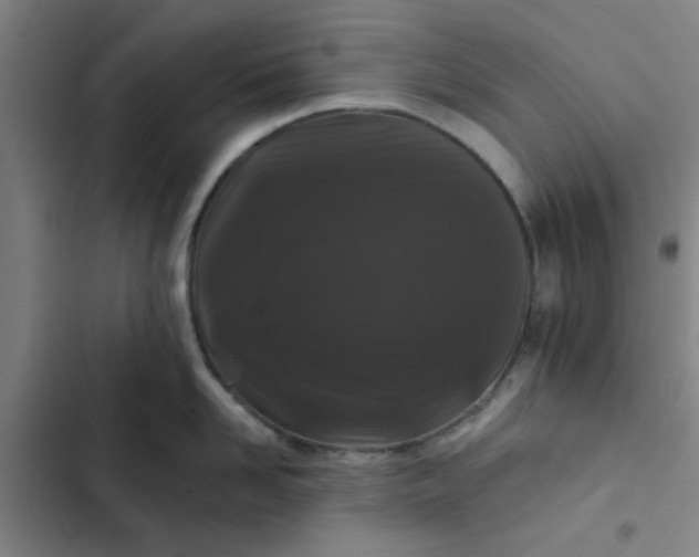 X0000102460958200808221616