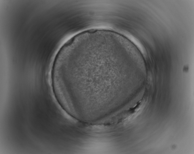 X0000102460959200808221616