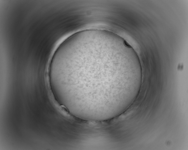 X0000102460960200808221616