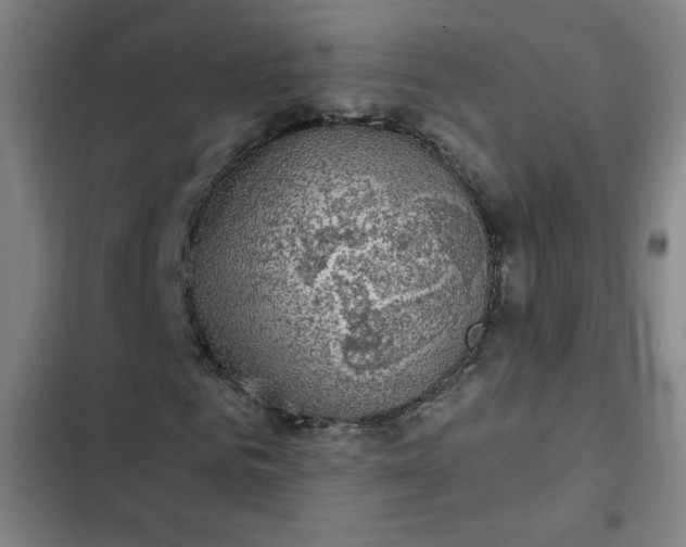 X0000102460961200808221615