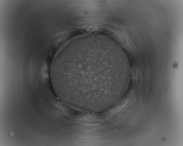 X0000102460962200808221615