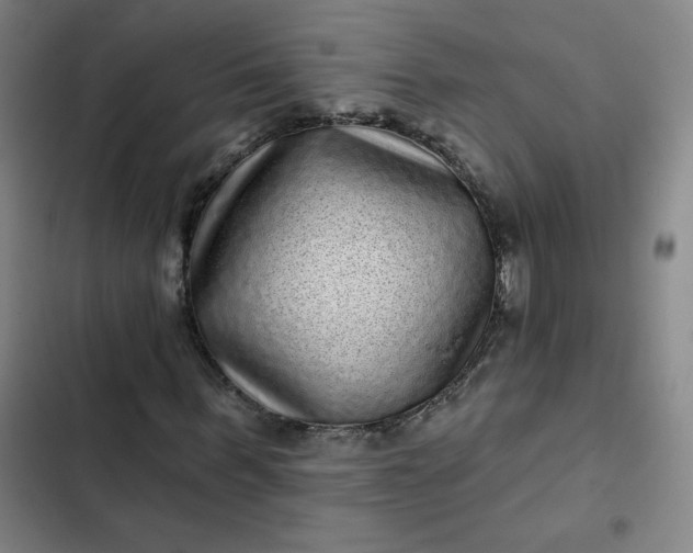 X0000102460963200808221615