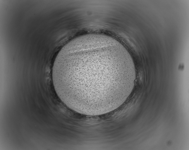 X0000102460964200808221615