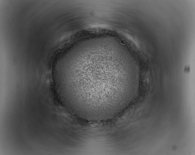 X0000102460965200808221615